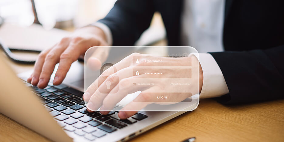 Software Customization Services